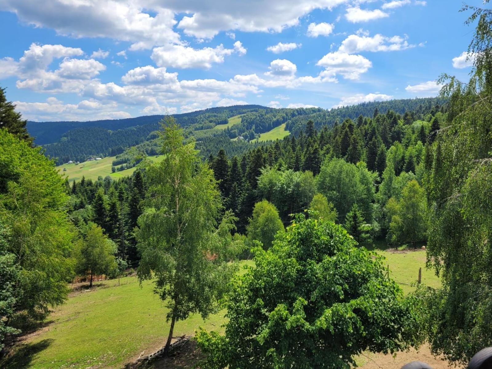 Villa Domek Na Obidzy Piwniczna-Zdroj Zimmer foto