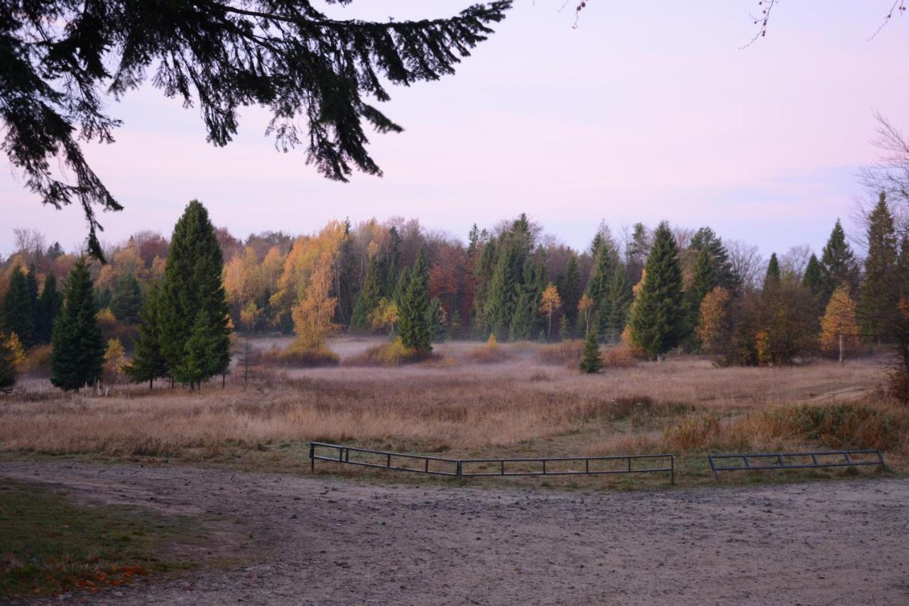 Villa Domek Na Obidzy Piwniczna-Zdroj Exterior foto